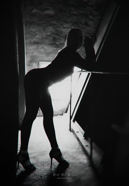 Sarah als Silhouette, an ein schräges Fenster gelehnt.