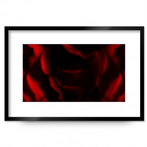 Rose Passpartout