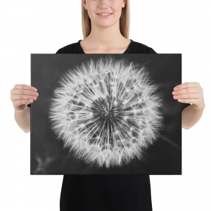 Pusteblume Leinwand