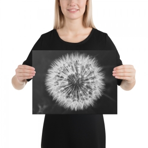 Pusteblume Leinwand