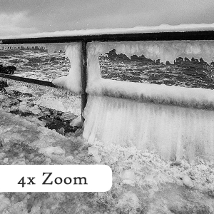 Frost-2021-Querformat-zoom