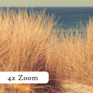 Ostseeheilbad-Zingst-am-Strand-Vorpommern-Rügen-Querformat-zoom