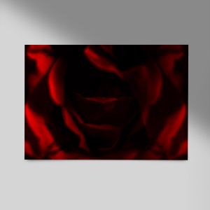 Schwarze-Rose-Querformat