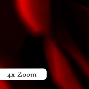 Schwarze-Rose-Querformat-zoom